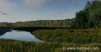 When the Bronx Was a Forest: Stroll Through the Centuries