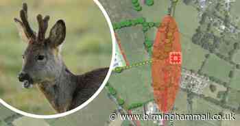 Campaigners vow to fight development plan for Solihull countryside home to stunning wildlife - Birmingham Live