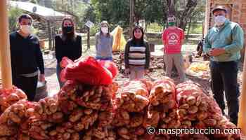 Primer envío de mandiocas y batatas al mercado central de Buenos Aires, un «salto cuantitativo» - Noticias del Agro