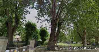 Jehovah's Witnesses 'disowned' 27-year-old found dead in park