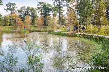 Houston Arboretum extends its popular virtual summer camp - Chron