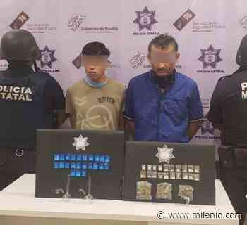 Policía estatal captura a vendedores de droga de “La Güera” en Zinacatepec - Milenio