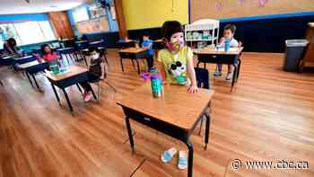 Review of COVID-19 spread by kids offers comfort about schools reopening, prof says