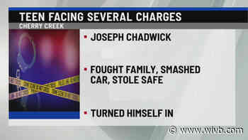 Police: 19-year-old fights and threatens family, steals safe and smashes car