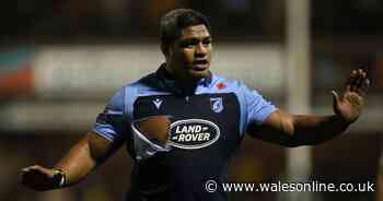 Cardiff Blues cult figure Nick Williams retires from rugby