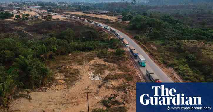 Deadly diseases from wildlife thrive when nature is destroyed, study finds