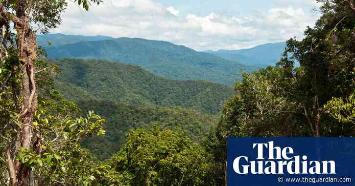 New Guinea has greatest plant diversity of any island in the world, study reveals