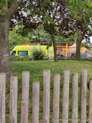 Emergency services dealing with incident at Flamingo Land