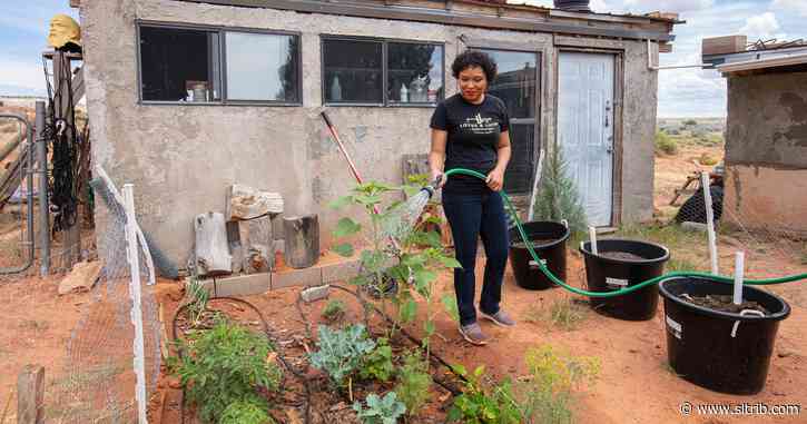 For the Navajo Nation, a fight for better food gains new urgency