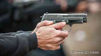 Baltimore County Police Investigation into Woman Injured in Shooting in Towson - STL.News