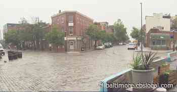 Baltimore Area Sees Trees Topple During Isaias, But City Spared Worst Of Storm - CBS Baltimore