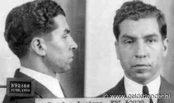 Fear City: In de wurggreep van de maffia