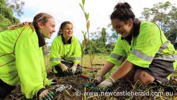 Environmental education shines at St Mary's Catholic College, Gateshead - Newcastle Herald