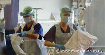 Every Covid-19 death in Wales for a week from one hospital