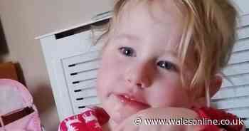 Nan pays tribute to two year old as police investigate her death