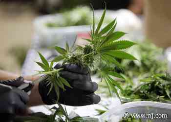 New medical marijuana dispensary says it will open in N.J. this fall - NJ.com