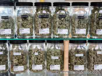Michigan regulators to rescind law tying medical, recreational pot businesses - Crain's Detroit Business