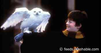 Streaming wars heat up as Harry Potter movies shift to Peacock