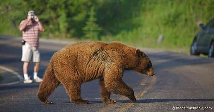 The unsexiest parts of national parks just got critical $$$