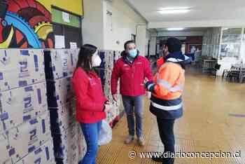 Entregarán 14.500 cajas de “Alimentos para Chile” en Coronel - Diario Concepción