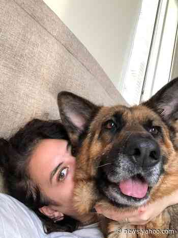 Reporter reflects on Beirut explosion, burying a dog who made 'dystopia more bearable'