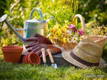 Rhode Island Homeowners Guide To Do It Yourself Landscaping - Patch.com