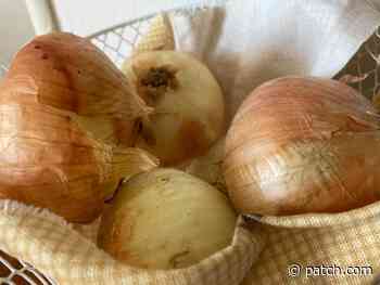 Rhode Island Included In Nationwide Onion Recall - Newport, RI Patch