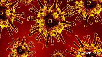Total known coronavirus cases in Rhode Island top 19,000 - Boston News, Weather, Sports | WHDH 7News