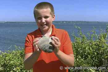 Rhode Island boy digs up massive 2 1/2-pound mollusk - The Boston Globe