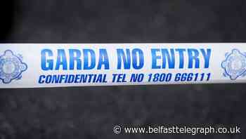 Teenager dies at Co Wicklow beauty spot