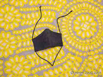 The most popular face masks to purchase online     - CNET