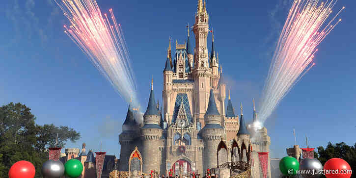 Disney World Is Being Sued by a Grandma Over CBD Oil - Find Out Why!