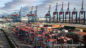 Dramatischer Wirtschaftseinbruch: Warum Deutschland einen zweiten Shutdown verhindern muss - Wirtschaft - Tagesspiegel