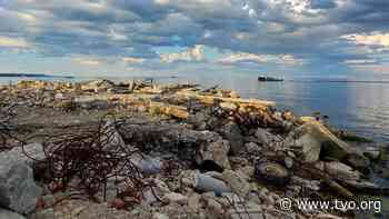 In the wilds of Toronto: The fight to let nature reign on the Leslie Street Spit - TVO