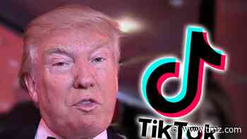 TikTok Stars Believe Trump Wants to Ban App as Revenge for Trolling Him