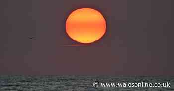 Scorching Sahara heat will send temperatures soaring
