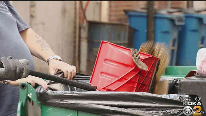 Another COVID Battle: Pest Control Services Seeing Increase In Rodents In Vacated Offices