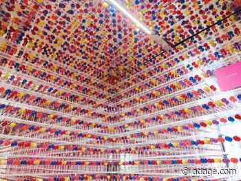 From Little Caesars pizza portal to campaigns for sick and exploited children, No Fixed Address goes from startup to star