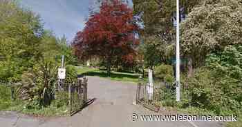 Boy threatened with being stabbed and has phone stolen in park
