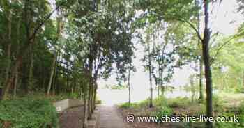 Man in bushes exposes himself to young children at Warrington park - Cheshire Live