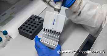Coronavirus infection rates continue to fall sharply despite lockdown easing