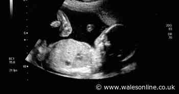 Freezing embryos in IVF does not increase chances of pregnancy