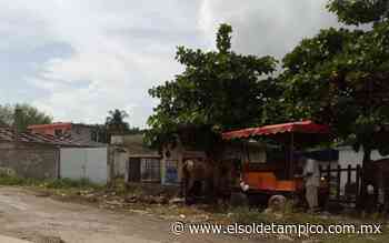 Reportan más de 50 colonias en riesgo de dengue en Altamira - El Sol de Tampico