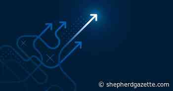 How Murray Rothbard's Idea of Entrepreneur-Pushed Progress Can Be Utilized to Fashionable Companies - The Shepherd of the Hills Gazette