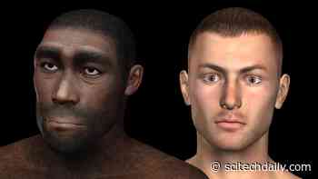 Understanding Human Evolution: Neanderthal DNA Contributes to Genetic Diversity