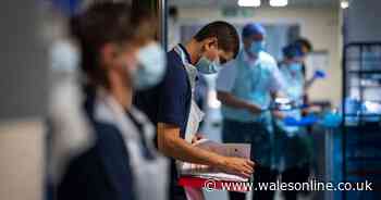 'Overlooked' NHS workers plan nationwide weekend protests over pay