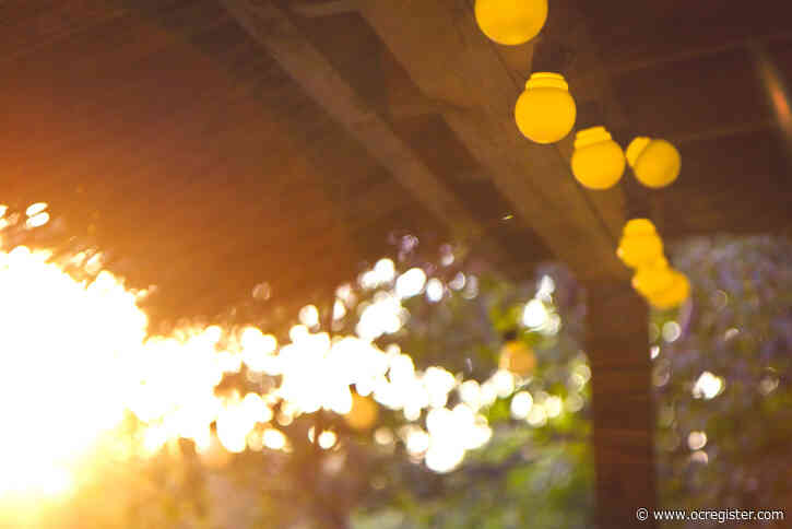 Why your garden is the place to be when the sun goes down