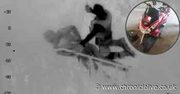 'Super cop' jumps from BUSH to arrest suspect as helicopter chase unfolds