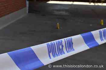 Bromley: Police make arrest near Pratts Bottom cannabis farm