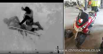 'Super cop' jumps from BUSH to arrest suspect as helicopter chase unfolds